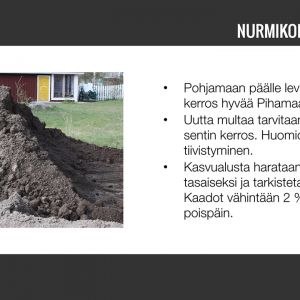 Nurmikko-05.jpg