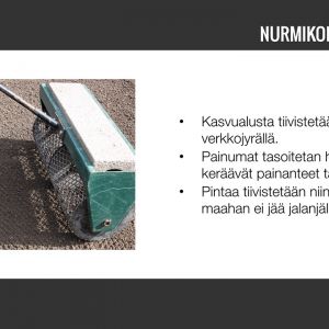 Nurmikko-06.jpg